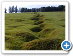 Beaumont-Hamel Newfoundland Memorial